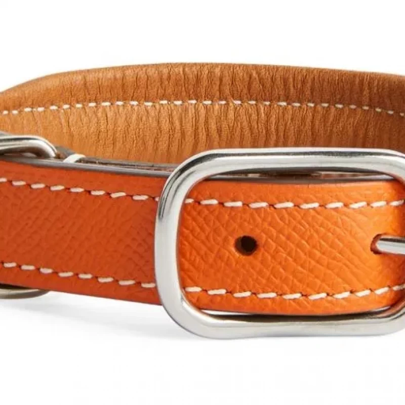 Dog collar